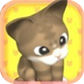跳跃糖果猫