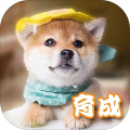 太空狗狗养成记赚钱版