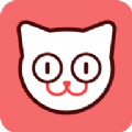 猫猫社App
