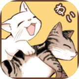猫咪学校