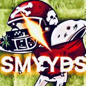 植物大战僵尸smyyds版